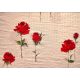 Krém alapon Rózsaszál mintás Krepp Maradék Textil  - 160 x 40cm